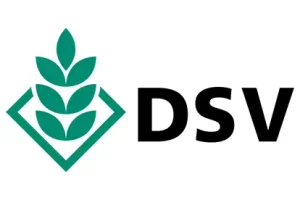 logo_DSV